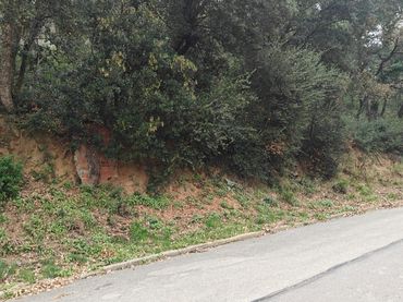 Terreni e lotti in vendita a Vallgorguina