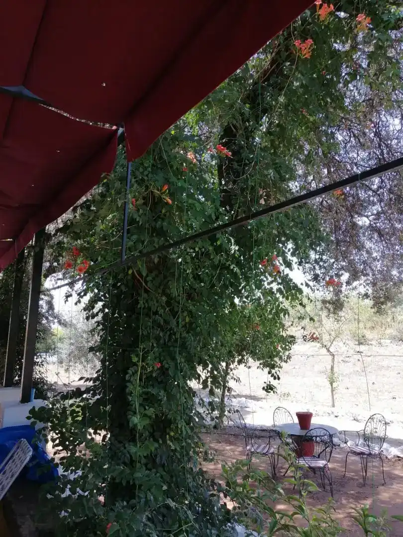 Jardí de Finca rústica en venda en Lora del Río amb Aire condicionat i Piscina