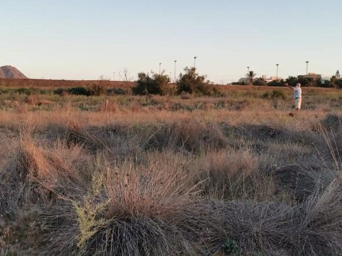 Terreno rustico in vendita a Camino LOS HUERTOS, imagen 63