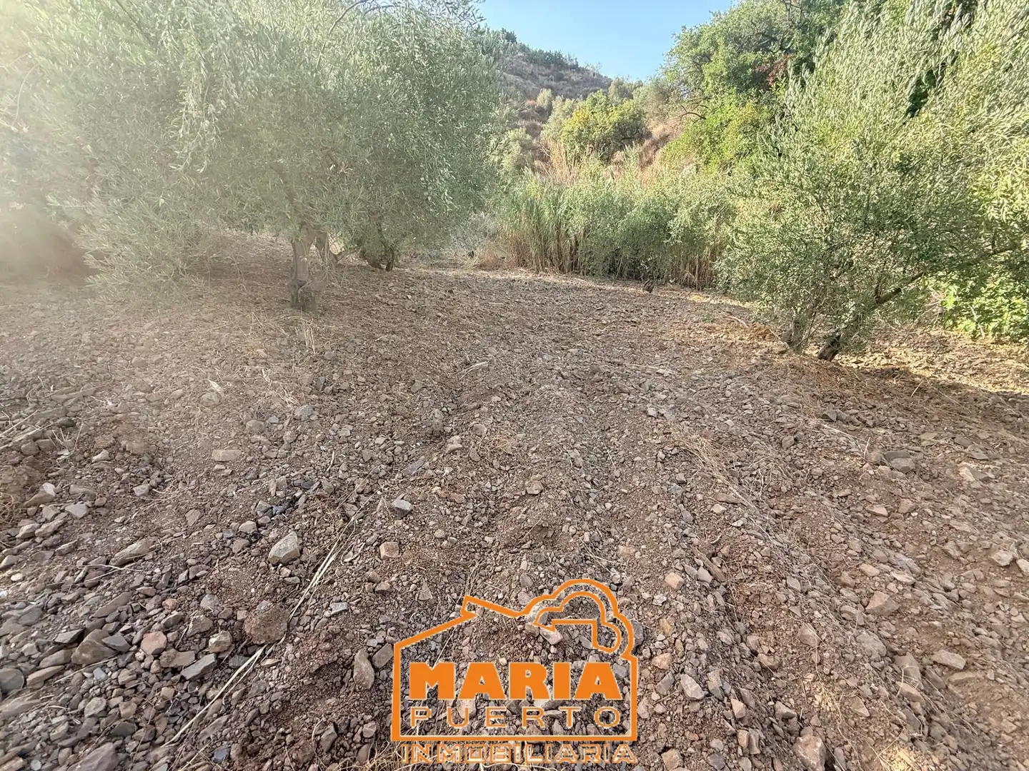 Terreno rustico in vendita a Almogía, imagen 10