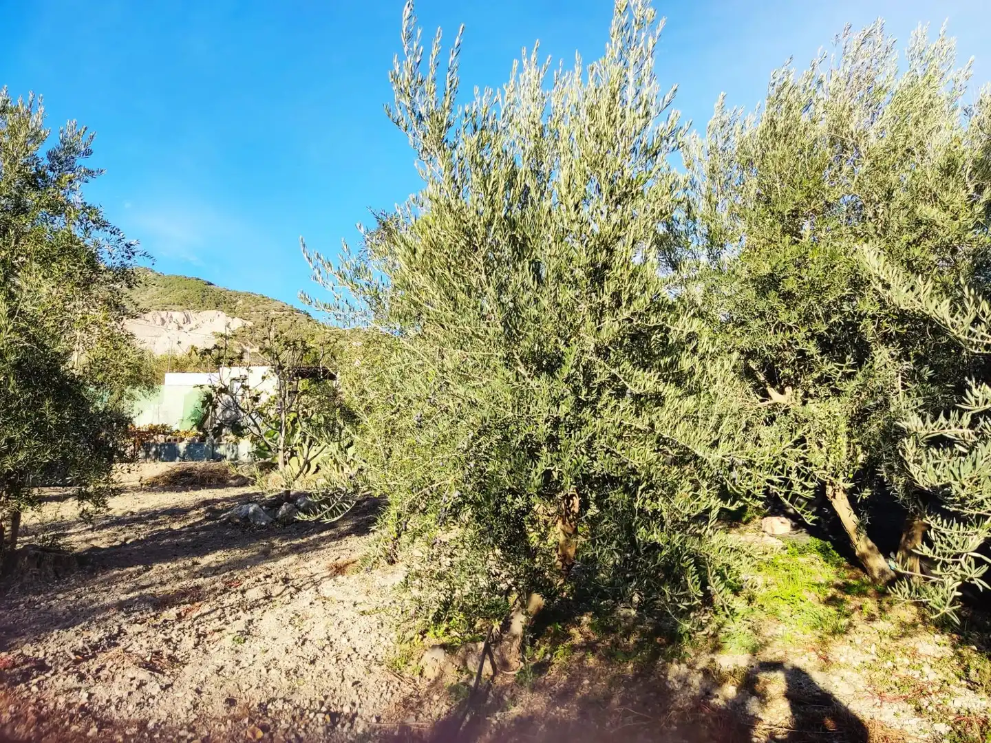 Terreni e lotti in vendita a Padul, imagen 30