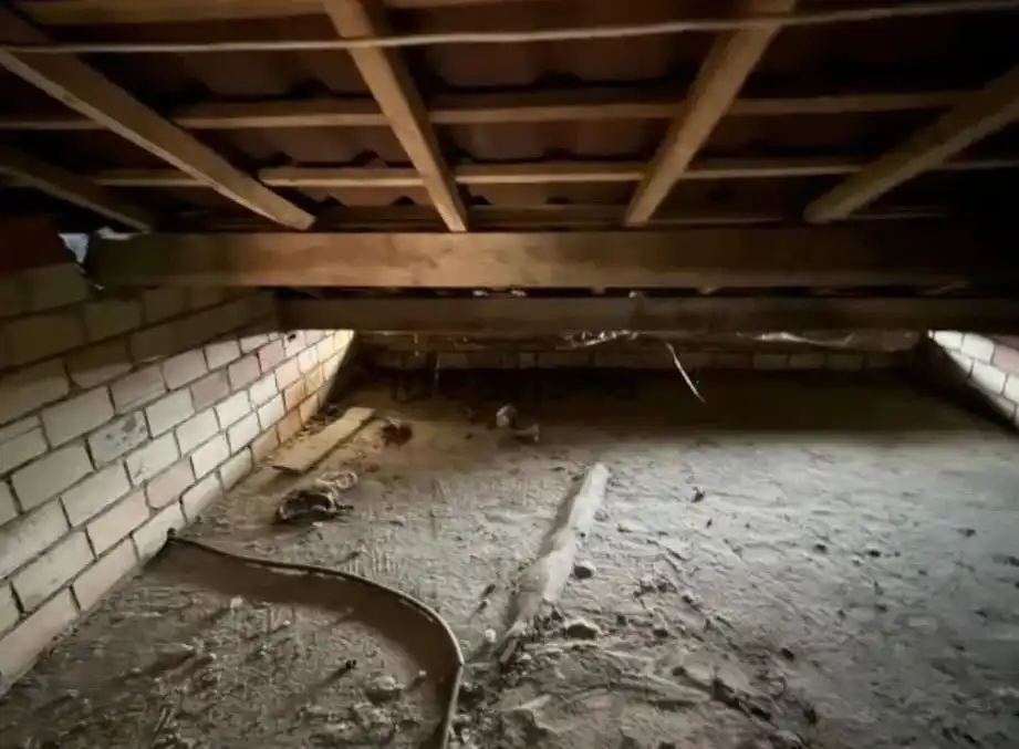 Casa aparellada amb jardí en venda a N/A, imagen 27