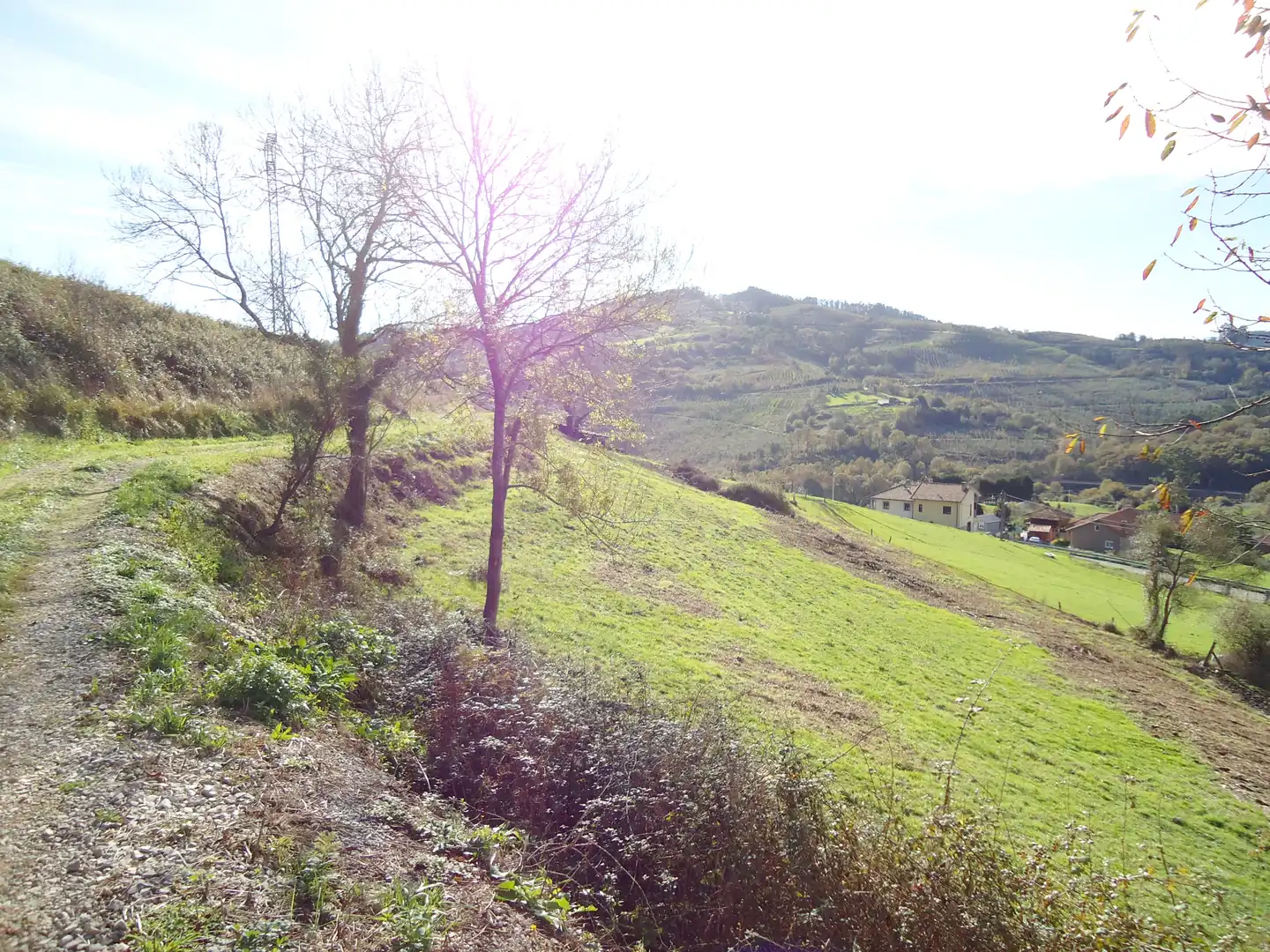 Wohnbaugrundstück zum Verkauf in LL-9, imagen 16