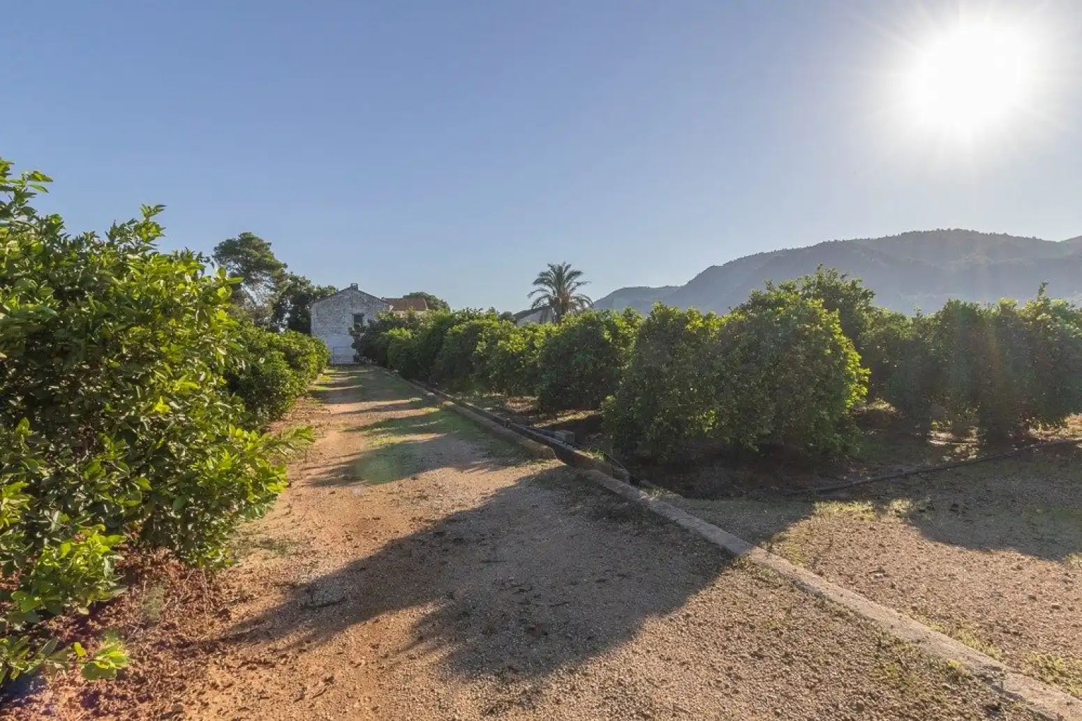 Maison à vendre à Benifairó de la Valldigna - HORTA, imagen 26