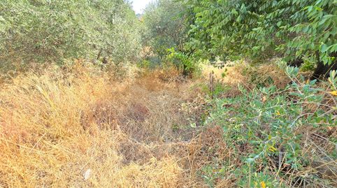 Foto 3 de Residencial en venta en Avenida de las Américas, 10, Aliseda, Cáceres