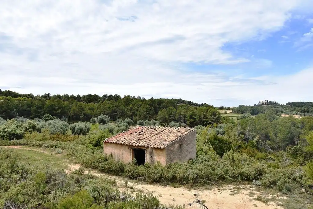 Terreni e lotti in vendita a Arens de Lledó