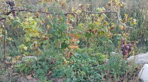 Photo 3 of Land for sale in Calle Gotor, Centro, Zaragoza