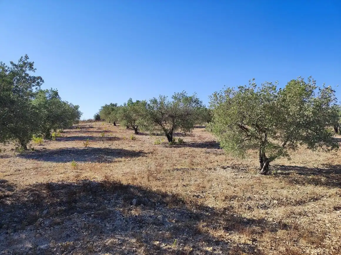 Finca rústica en venda en Tobarra amb Jardí privat, Terrassa i Traster