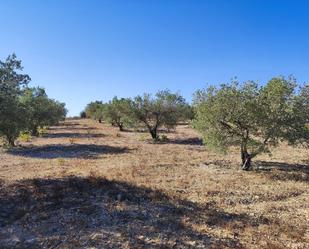 Finca rústica en venda en Tobarra amb Jardí privat, Terrassa i Traster