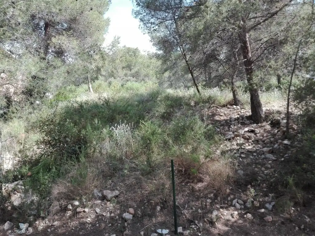 Residential land for sale in Costa Cunit - Els Jardins - Els Rosers, imagen 4