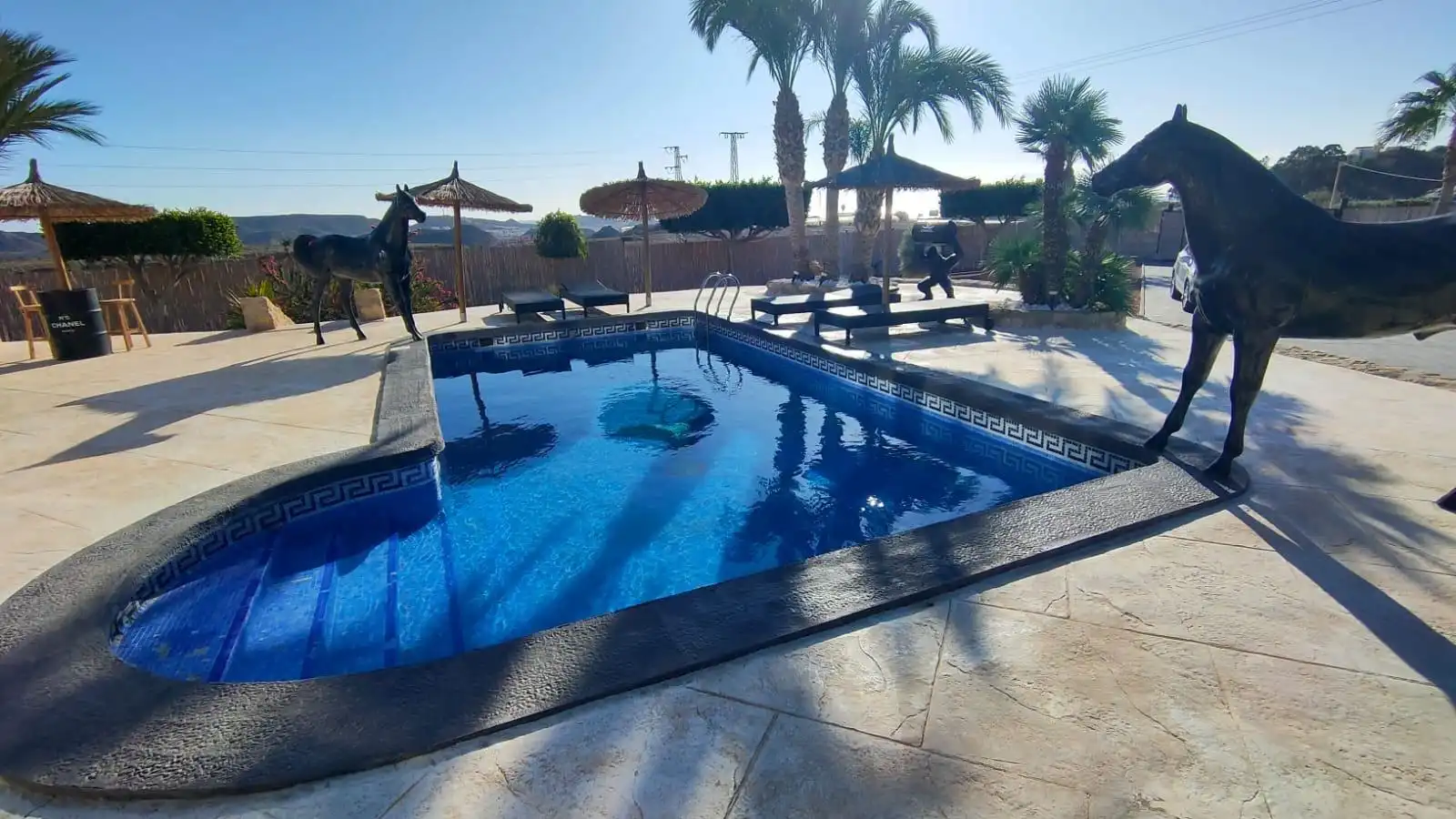 Villa mit Pool zum Verkauf in San Juan de los Terreros, imagen 3