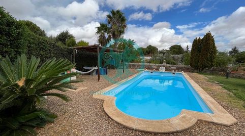 Casa de campo con piscina, huerto,perrera,gallinero,frutales,pista de frontón con vestuarios