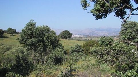 Foto 4 de Terreno en venta en Partidas Norte, Ronda