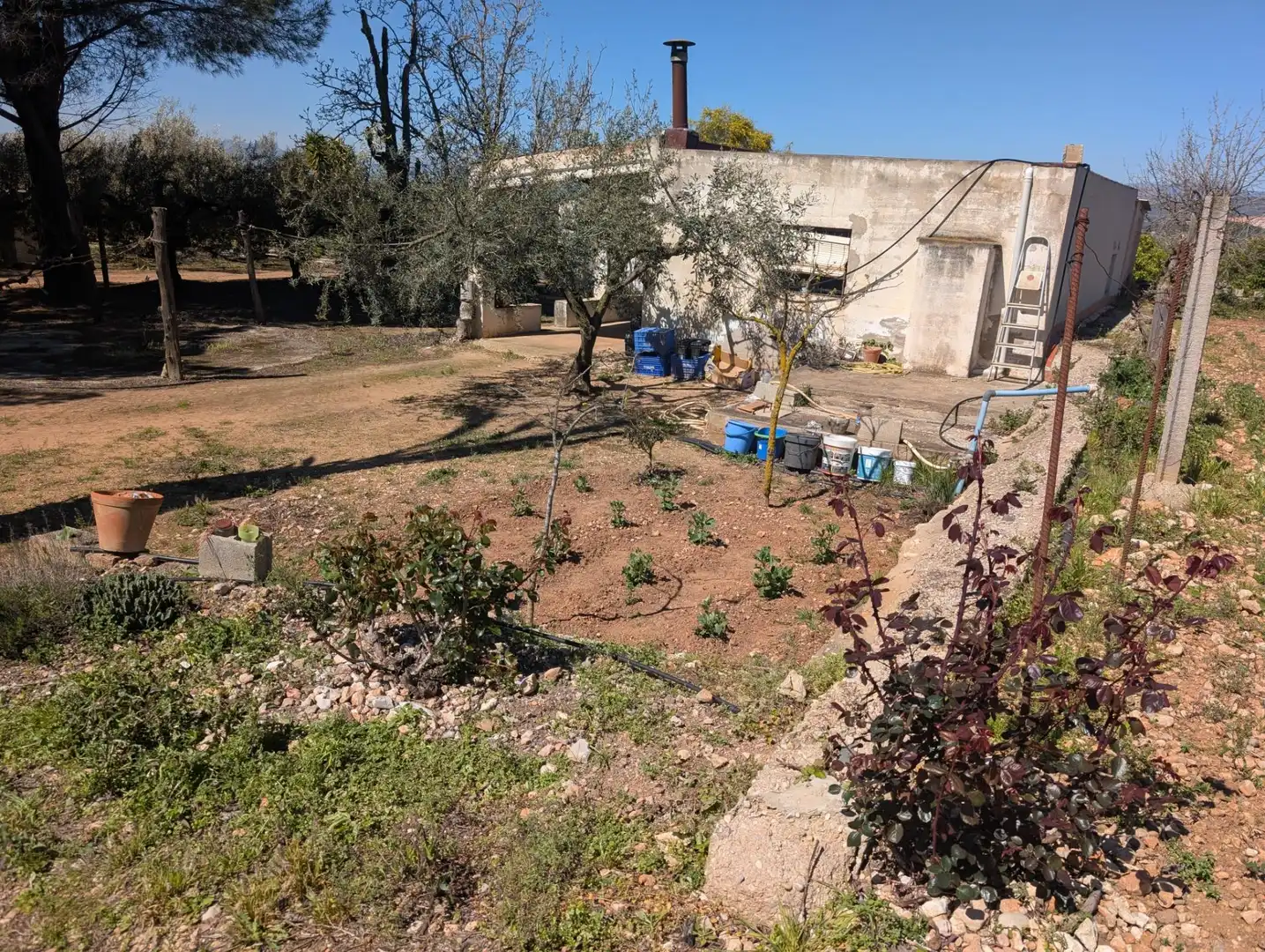 Grundstücke zum Verkauf in Ulldecona