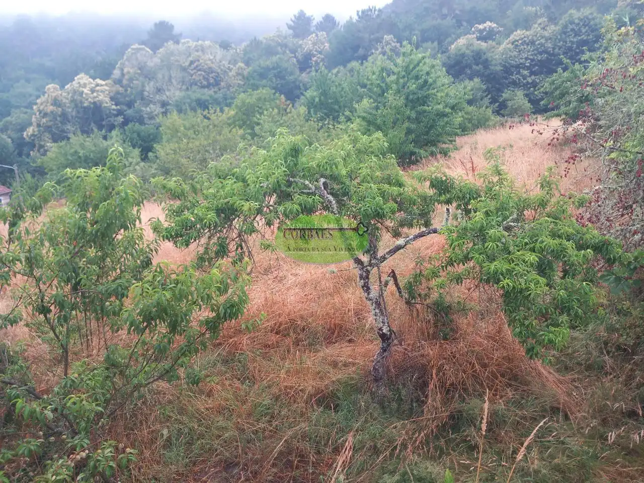 Casa o xalet en venda en Ramirás amb Jardí privat, Terrassa i Traster