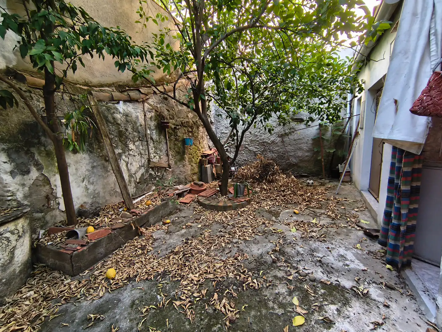 Garden of Houses for sale in Zarza la Mayor, Cáceres