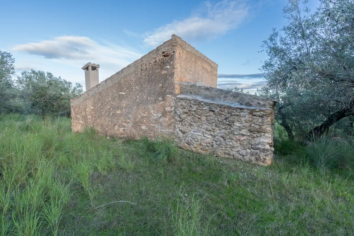 Terreno rustico in vendita a Partida Pandorga 2, imagen 4