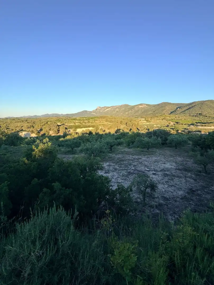 Country homes for sale in Atzeneta d'Albaida
