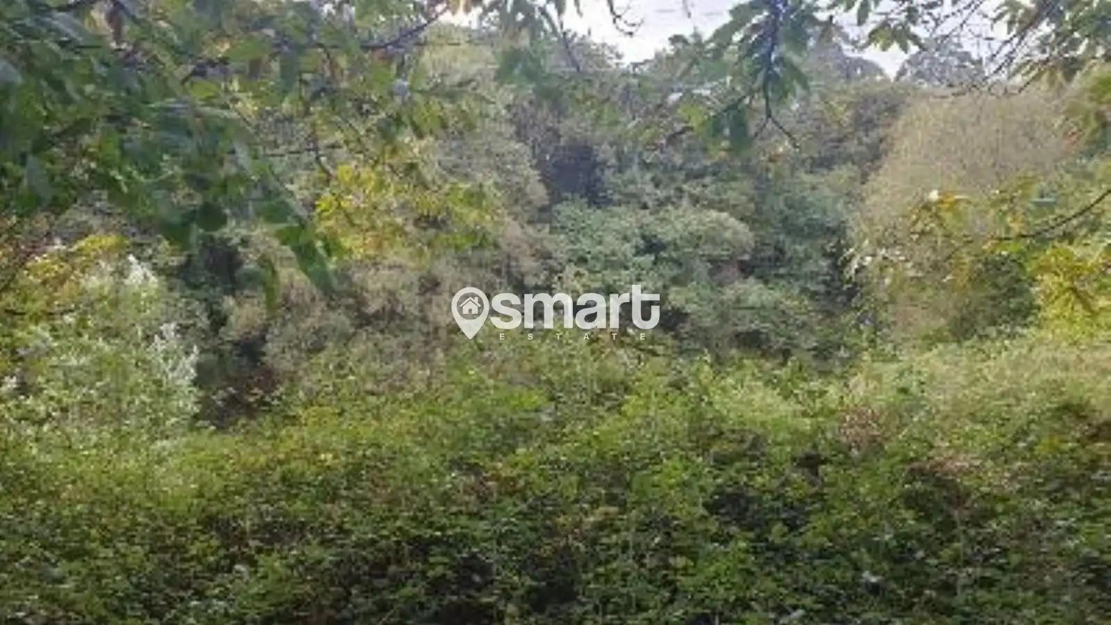 Terreno rustico in vendita a Villalegre - La Luz, imagen 15