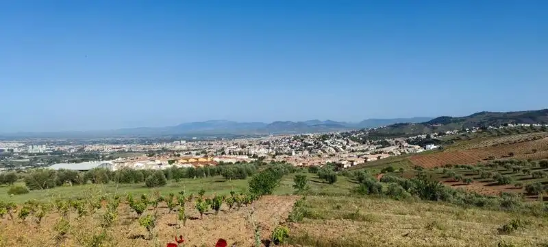 Terrenos y solares en venta en P.P. DEL SUELO URBANIZABLE SUR- LOMA DEL CERRAJON,, imagen 9