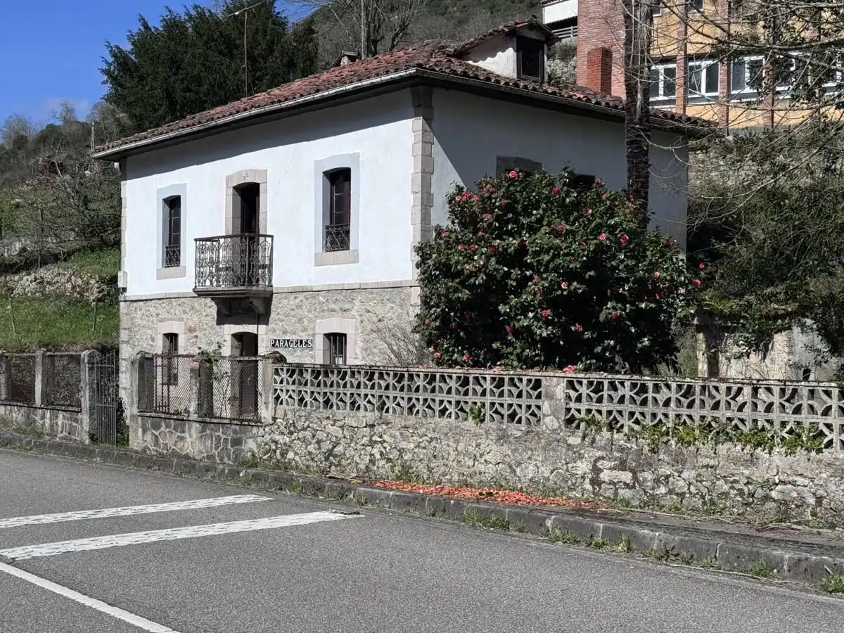 Exterior view of Country homes for sale in Peñamellera Alta  with Private garden