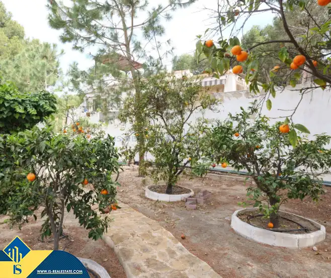 Villa avec piscine à vendre à Los Balcones - Los Altos, imagen 27