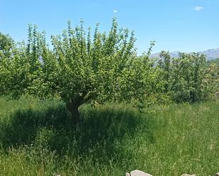 Residential for sale in San Juan de Gredos