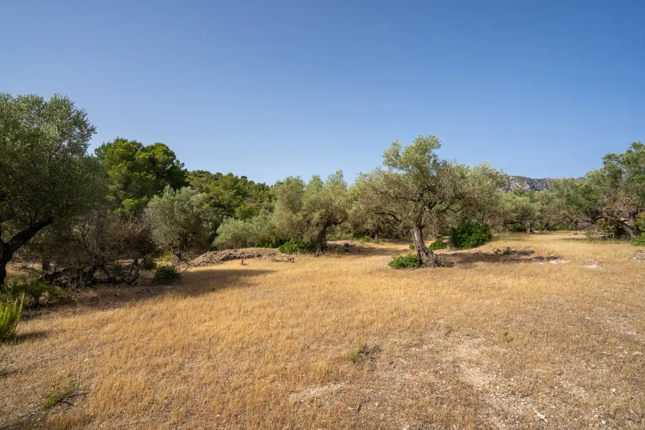 Terreno en venta en El Perelló