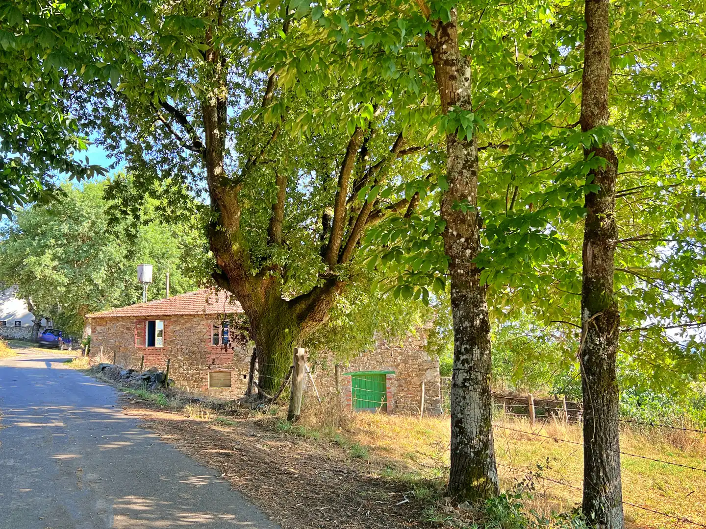 Außenansicht von Haus oder Chalet zum Verkauf in O Saviñao 