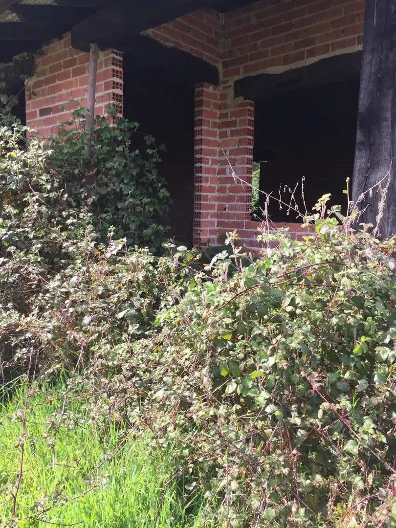Exterior view of Houses for sale in Ruente