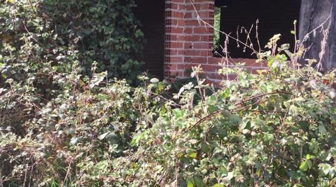 Photo 4 of House or chalet for sale in Ruente, Cantabria