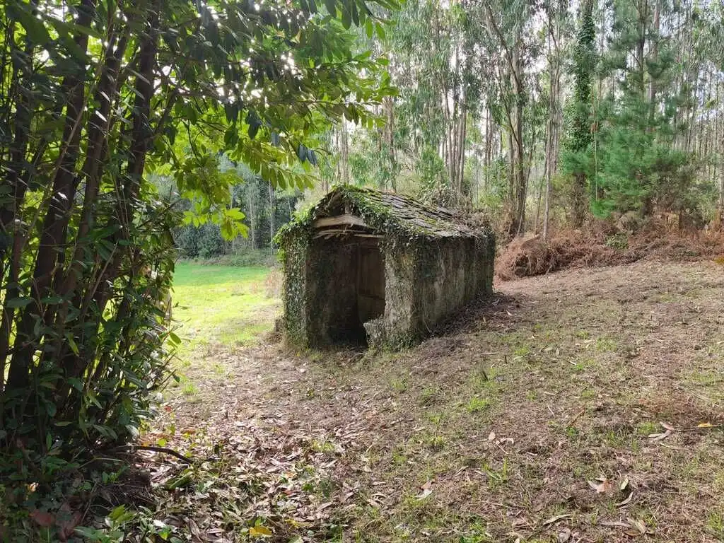 Jardí de Finca rústica en venda en As Somozas  amb Terrassa i Traster