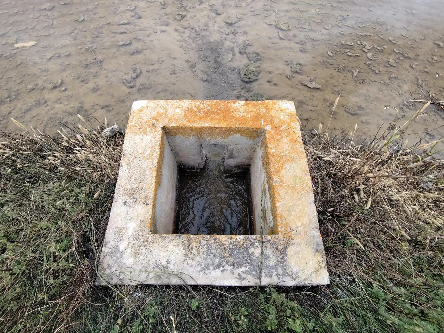 Terreny rústic en venda a Calle canalet de les salines partida bordiset, imagen 2