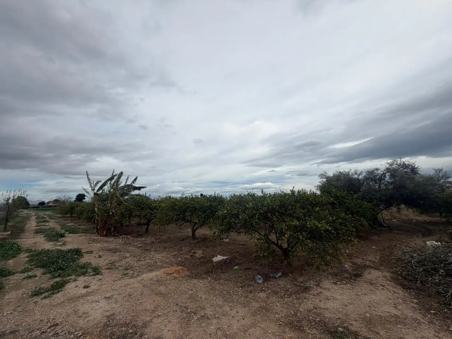 Terrain rustique à vendre à Almoradí, imagen 5