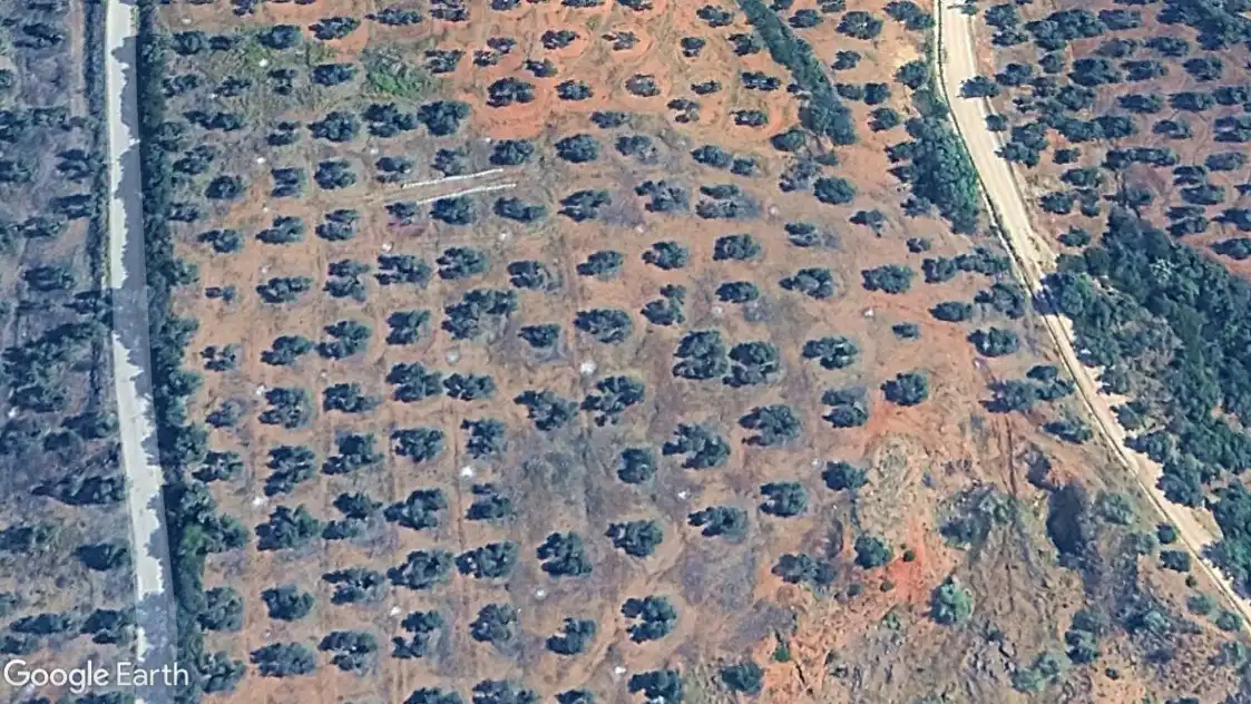 Terrenos y solares en venta en Marmolejo