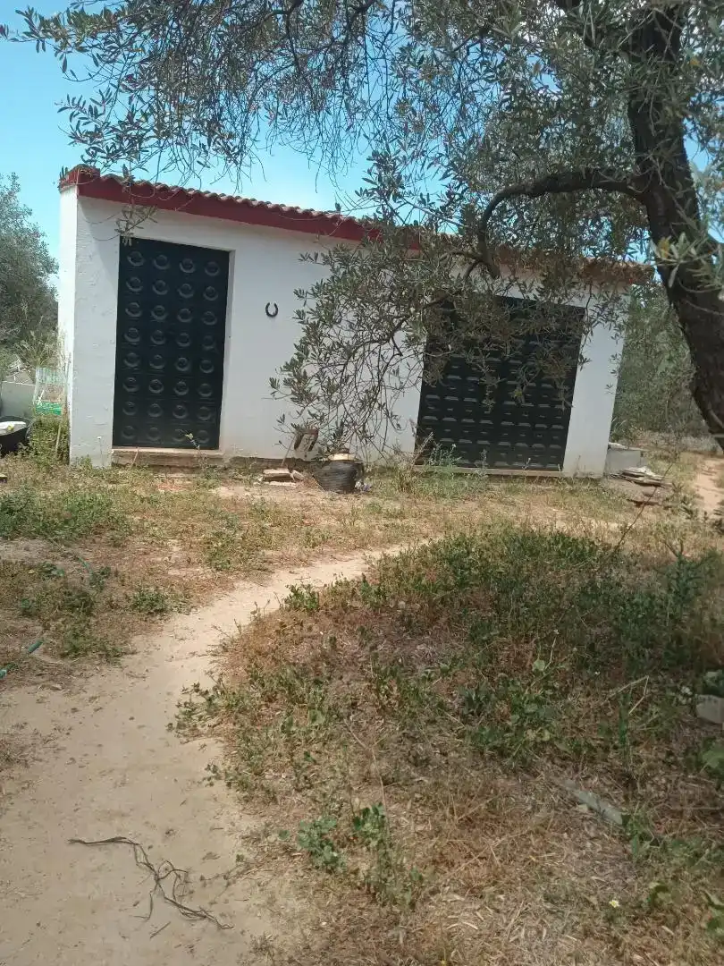 Casa o xalet en venda en Aznalcázar