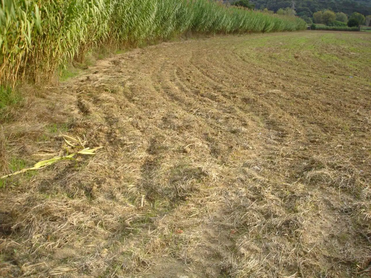 Land for sale in Vilanova del Vallès