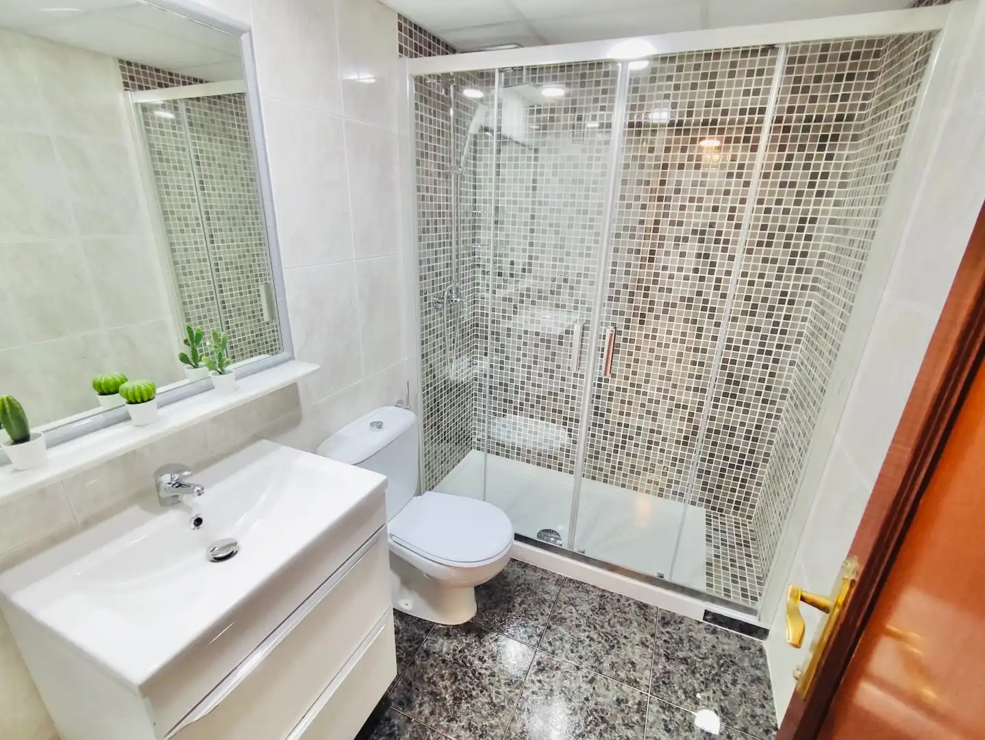 Baño de Apartamento de alquiler en Granada con Aire acondicionado, Calefacción y Amueblado