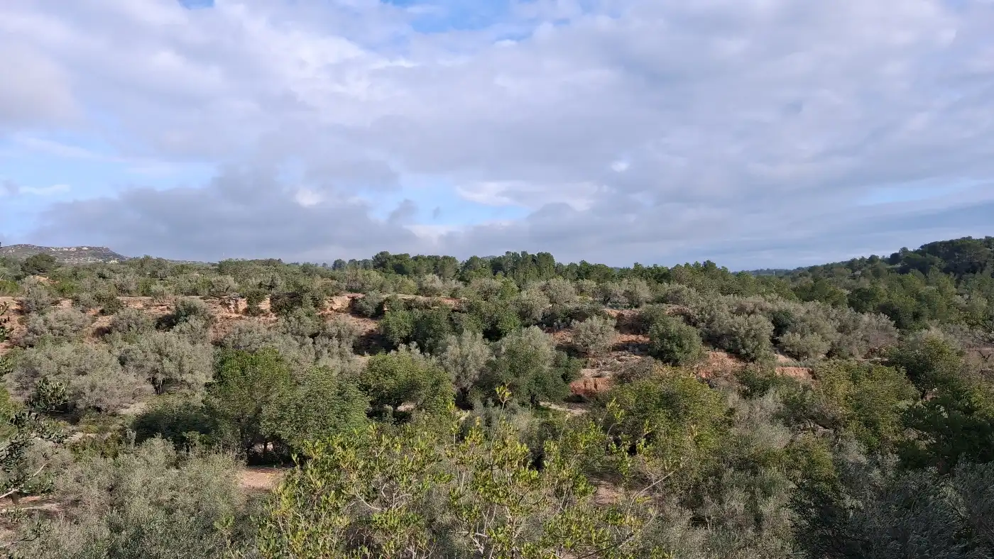 Finca rústica en venta en L'Ampolla