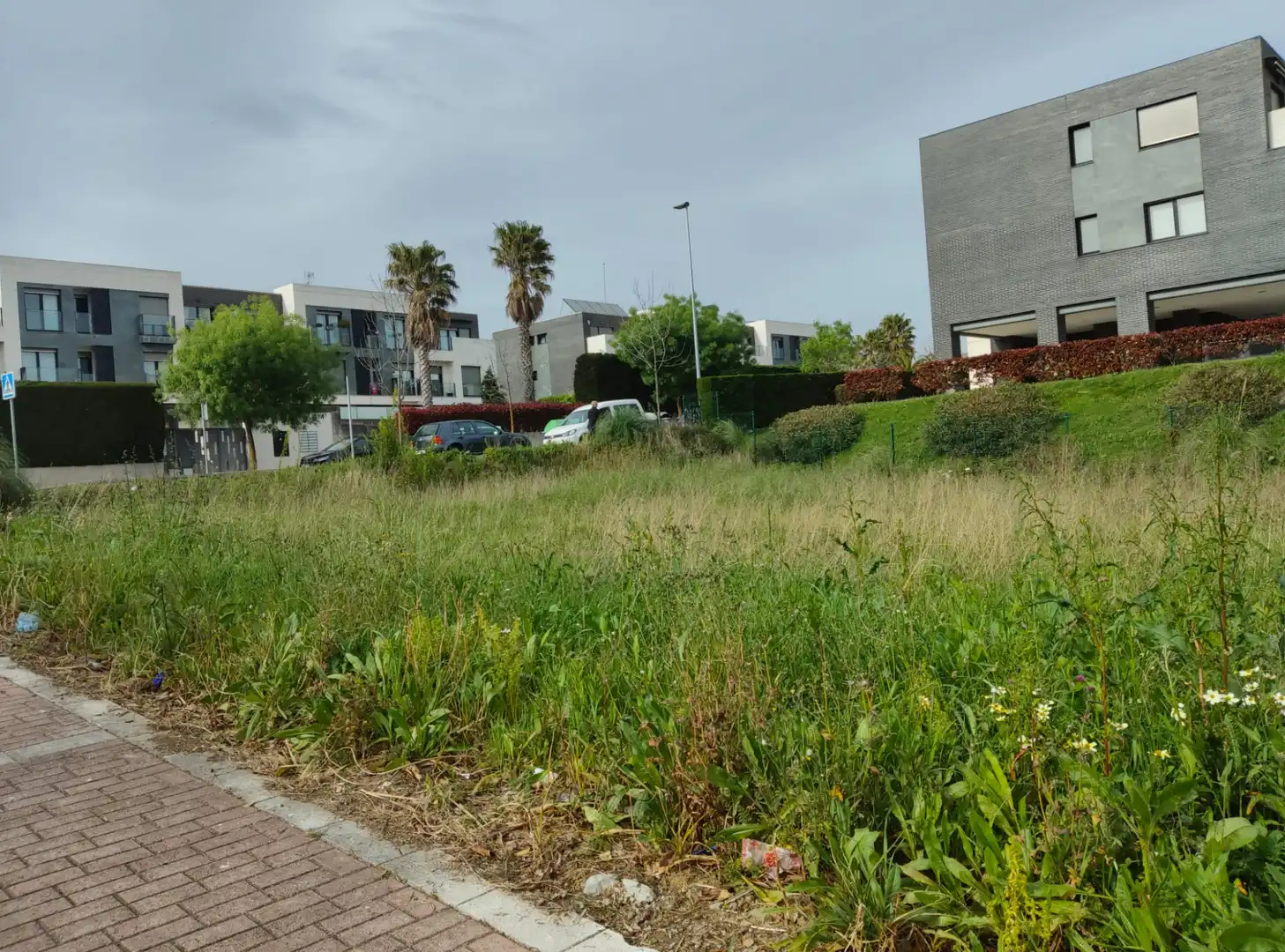 Terreny residencial en venda a Barrio Monte la Torre, imagen 2