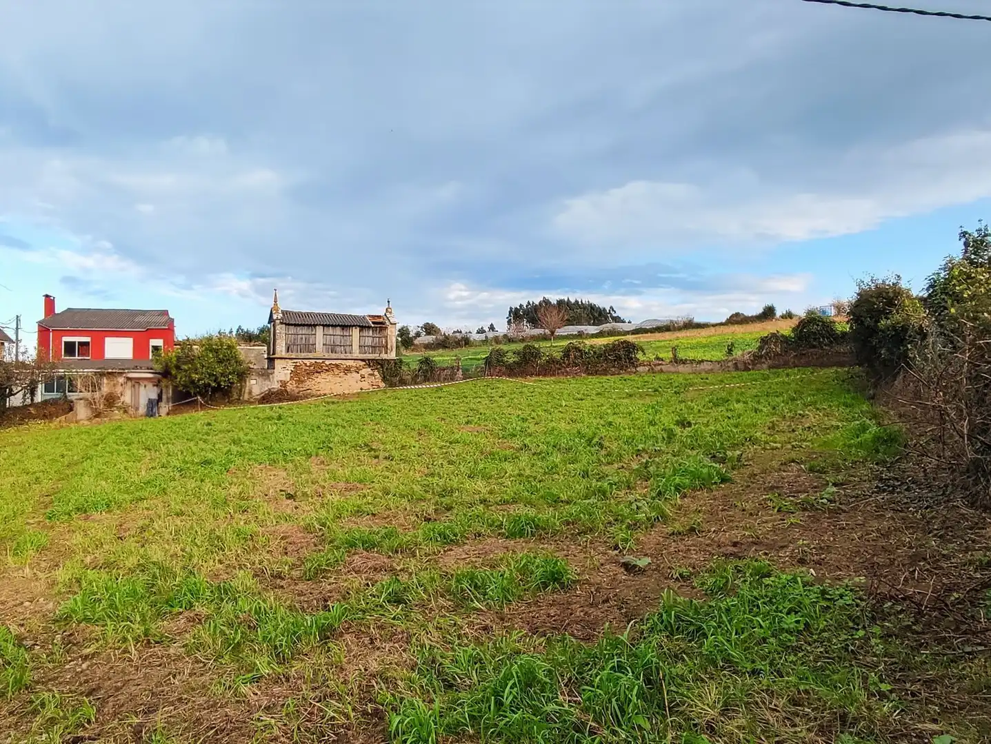 Rural land for sale in armenton, imagen 2
