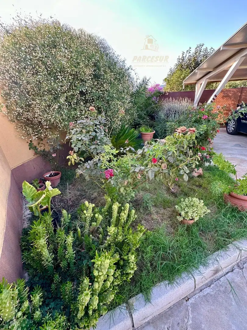 Jardí de Casa o xalet en venda en Córdoba amb Aire condicionat, Calefacció i Jardí privat
