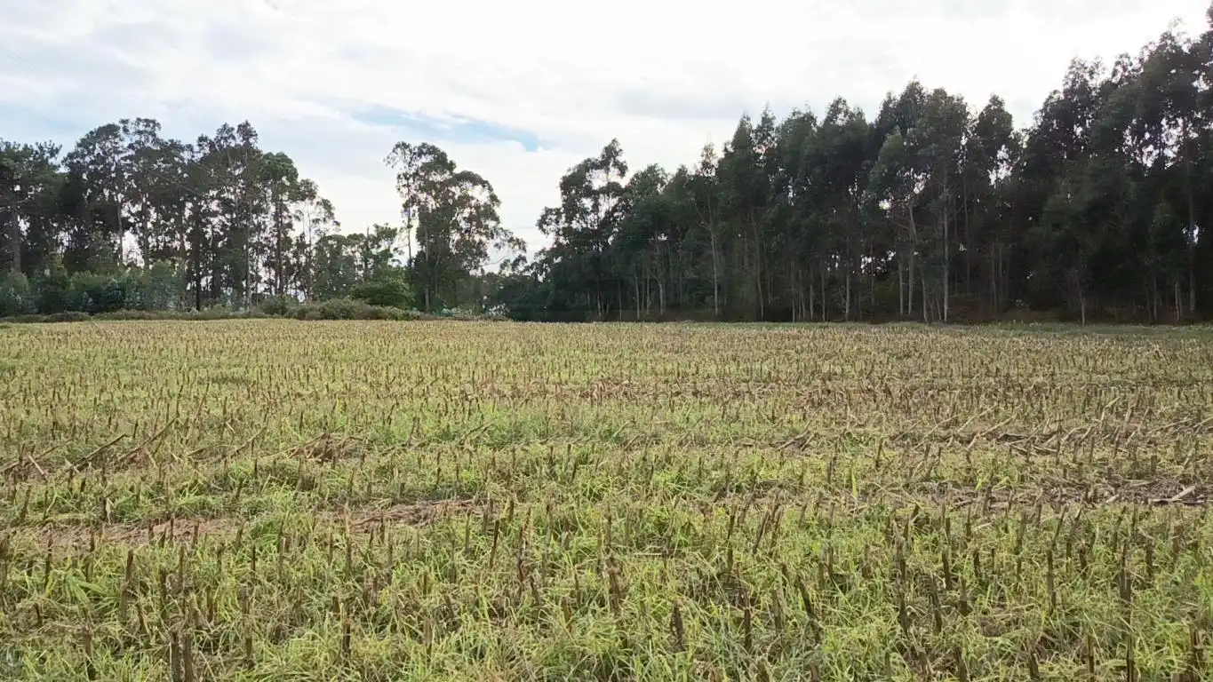 Terreno rústico en venta en Aldea Cabañas