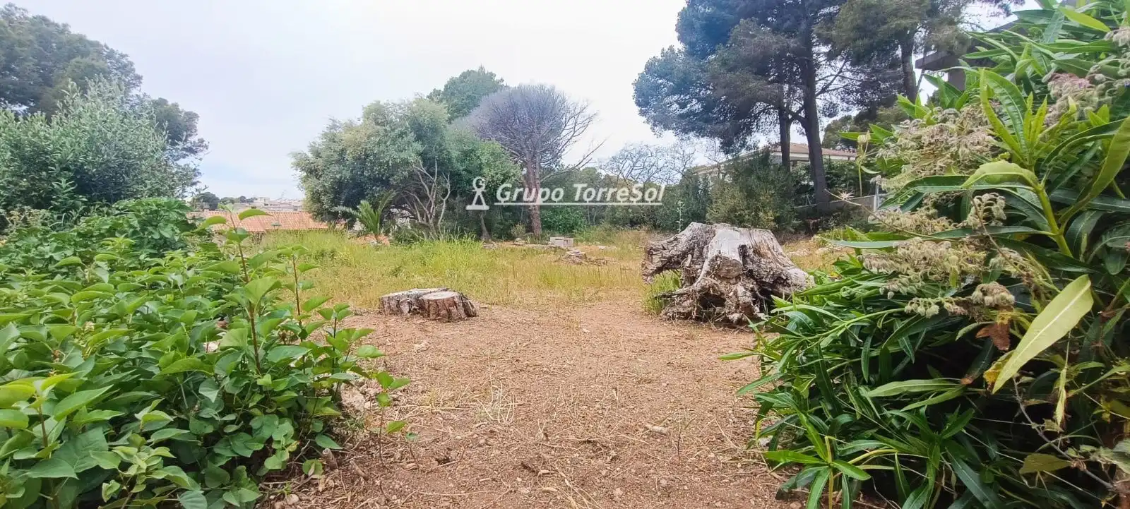 Rural land for sale in SAL