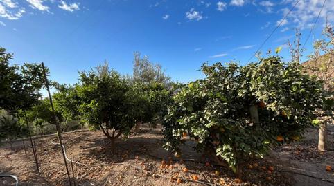 Foto 4 de Finca rústica en venda a La Mojonera, Almería