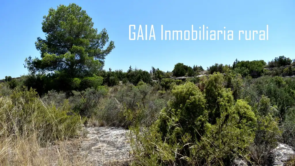 Finca rústica en venta en Caspe
