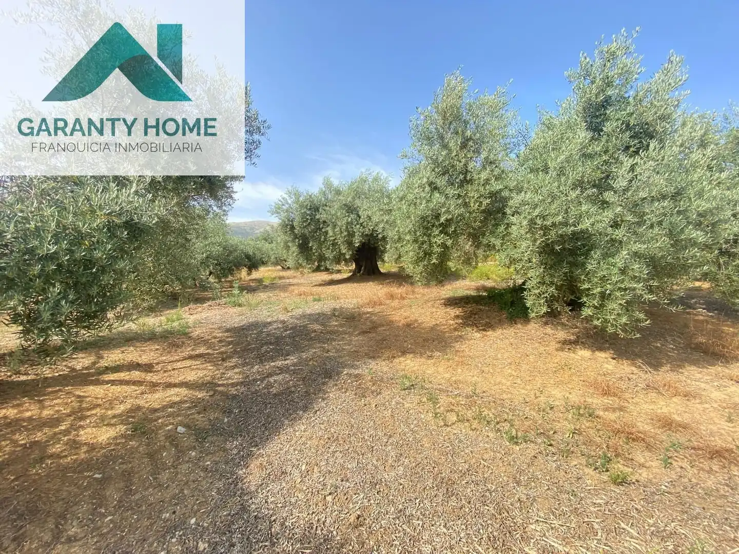 Terreno en venta en Valdepeñas de Jaén