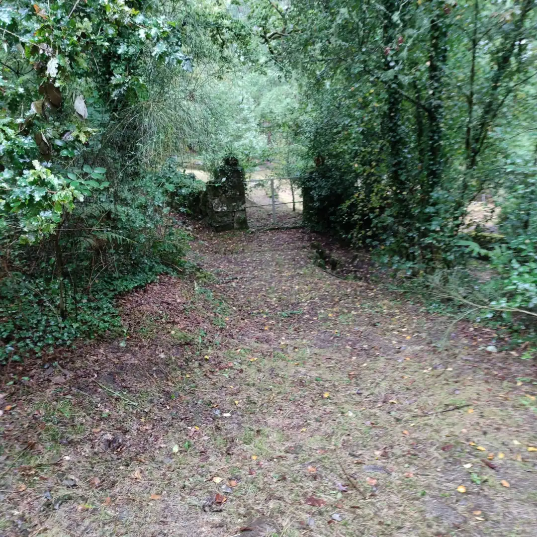 Land for sale in Cotobade