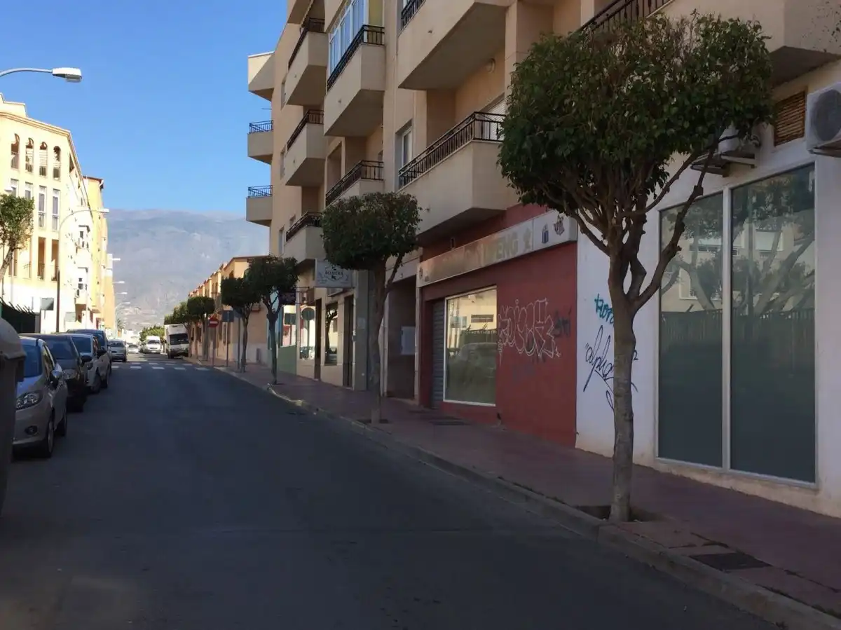 Gewerbefläche zur Miete in El Ejido Ciudad, imagen 11