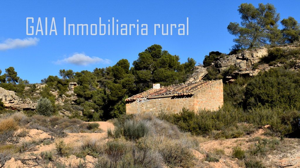 Exterior view of Country house for sale in Maella